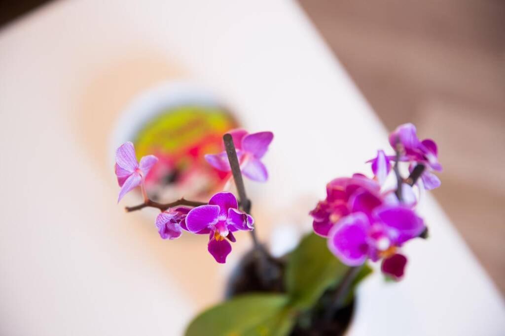 Leilighet A Bright Hideaway *